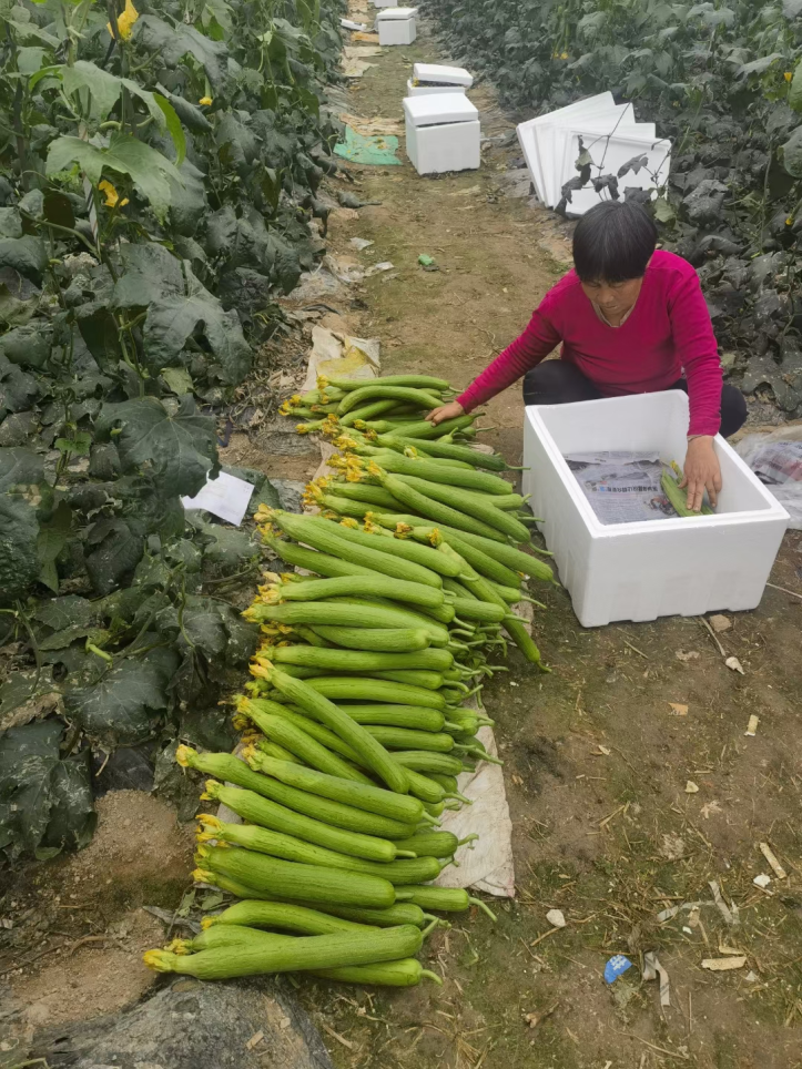 1679035180118365.png 微信圖片_20230317144103.png