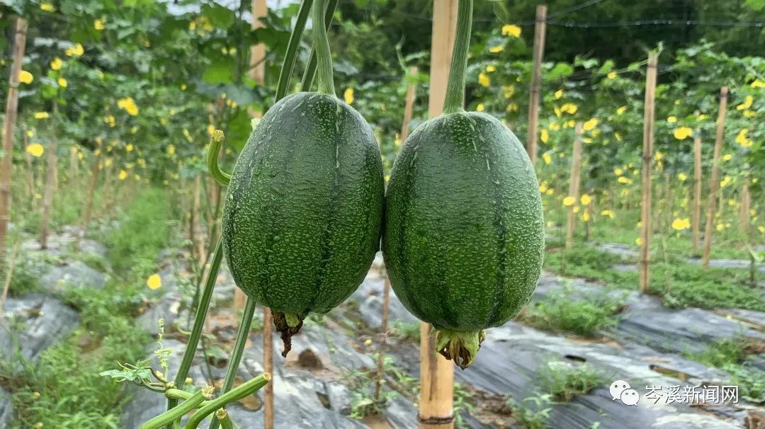 1679035208499510.jpg 微信圖片_20230317144110.jpg