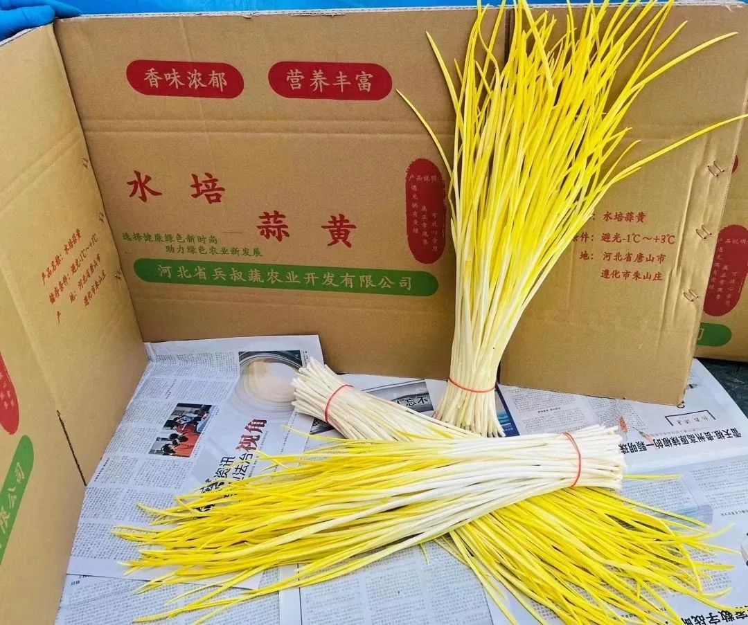 1679035220211335.jpg 微信圖片_20230317144113.jpg